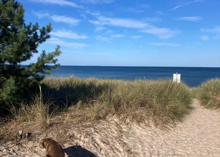Duene 9 Mit Hund - Nur 80 M Vom Strand
