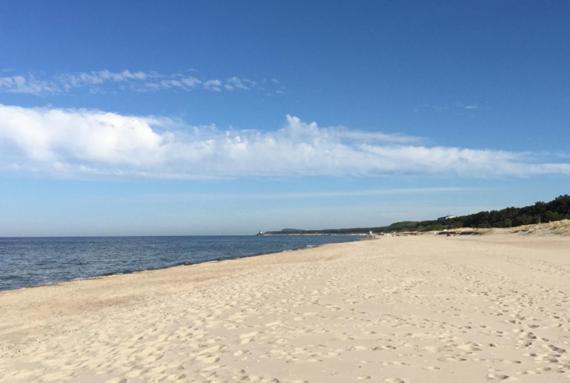 Duene 9 Mit Hund - Nur 80 M Vom Strand *