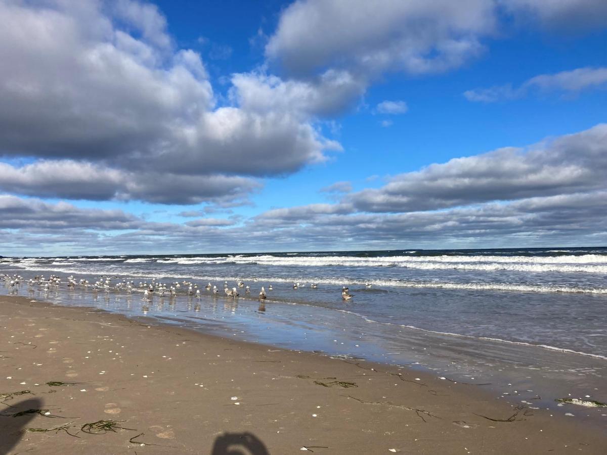 Apartment Duene 9 Mit Hund - Nur 80 M Vom Strand