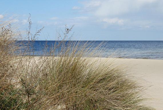 Duene 9 Mit Hund - Nur 80 M Vom Strand *