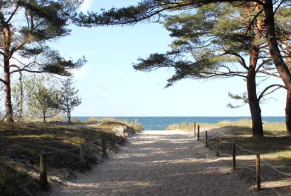 Duene 9 Mit Hund - Nur 80 M Vom Strand * Karlshagen