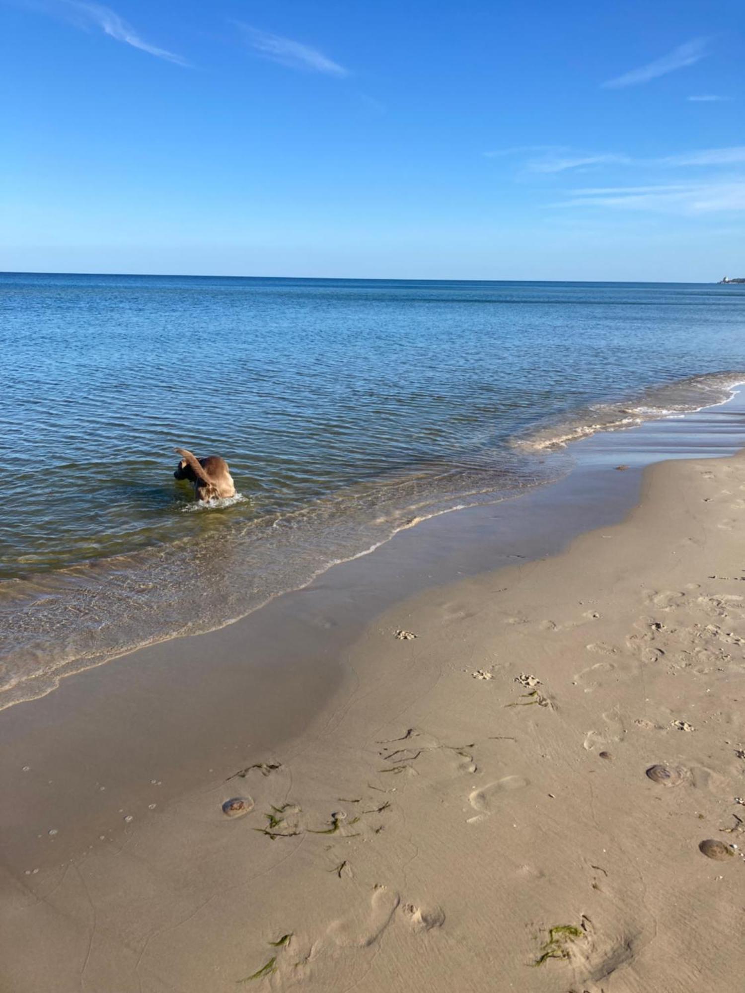 Duene 9 Mit Hund - Nur 80 M Vom Strand Karlshagen