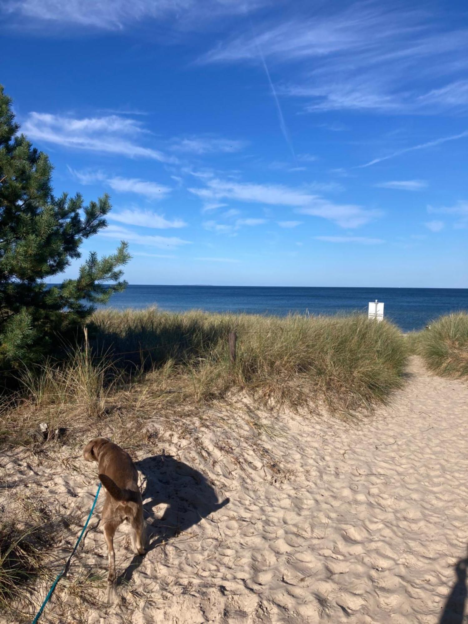 Duene 9 Mit Hund - Nur 80 M Vom Strand